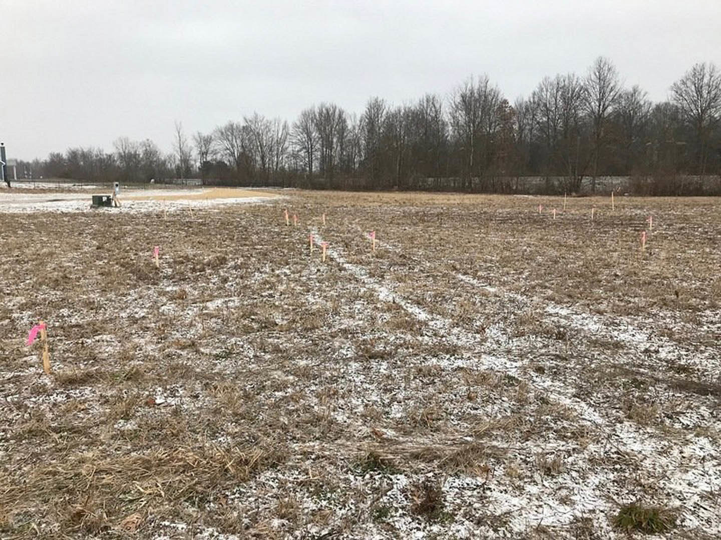 Snow-covered field bordered by leafless trees under a pale winter sky