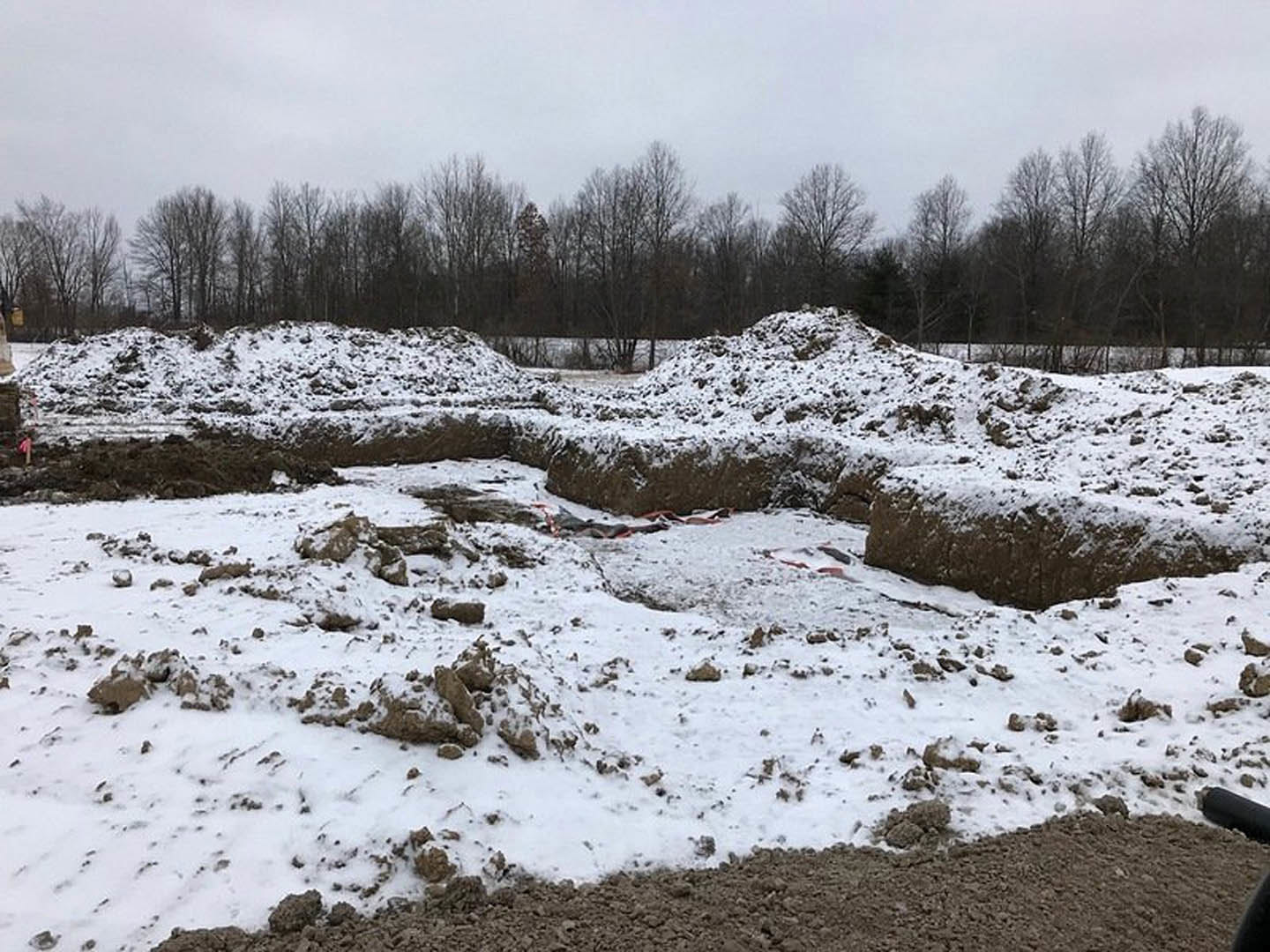 Snow-covered ground with scattered rocks and dirt, bordered by a group of leafless trees against a winter sky