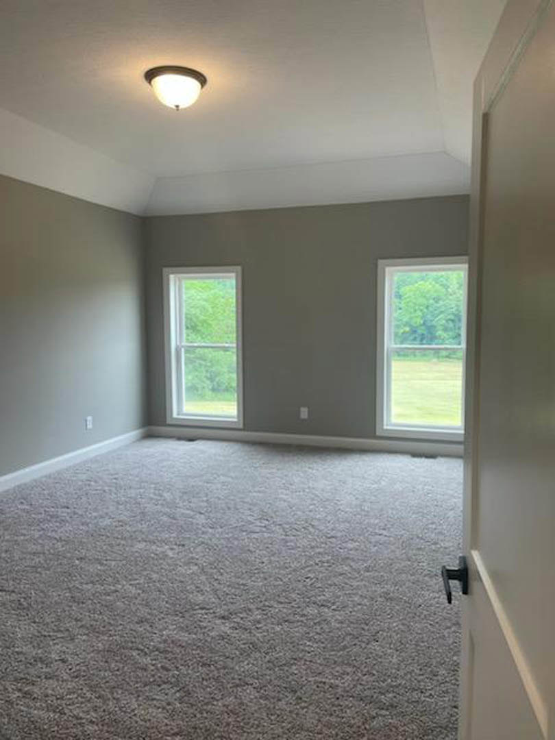 Carpeted room with two white-framed windows, trees visible outside, light fixture on smooth ceiling, neutral plaster walls