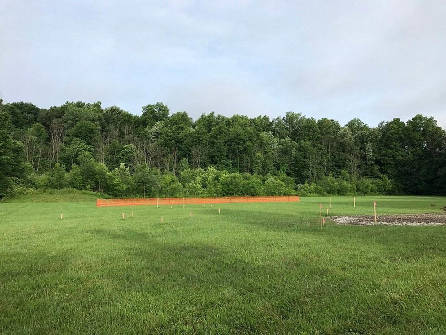 Wide grassy field bordered by mature trees under partly cloudy sky