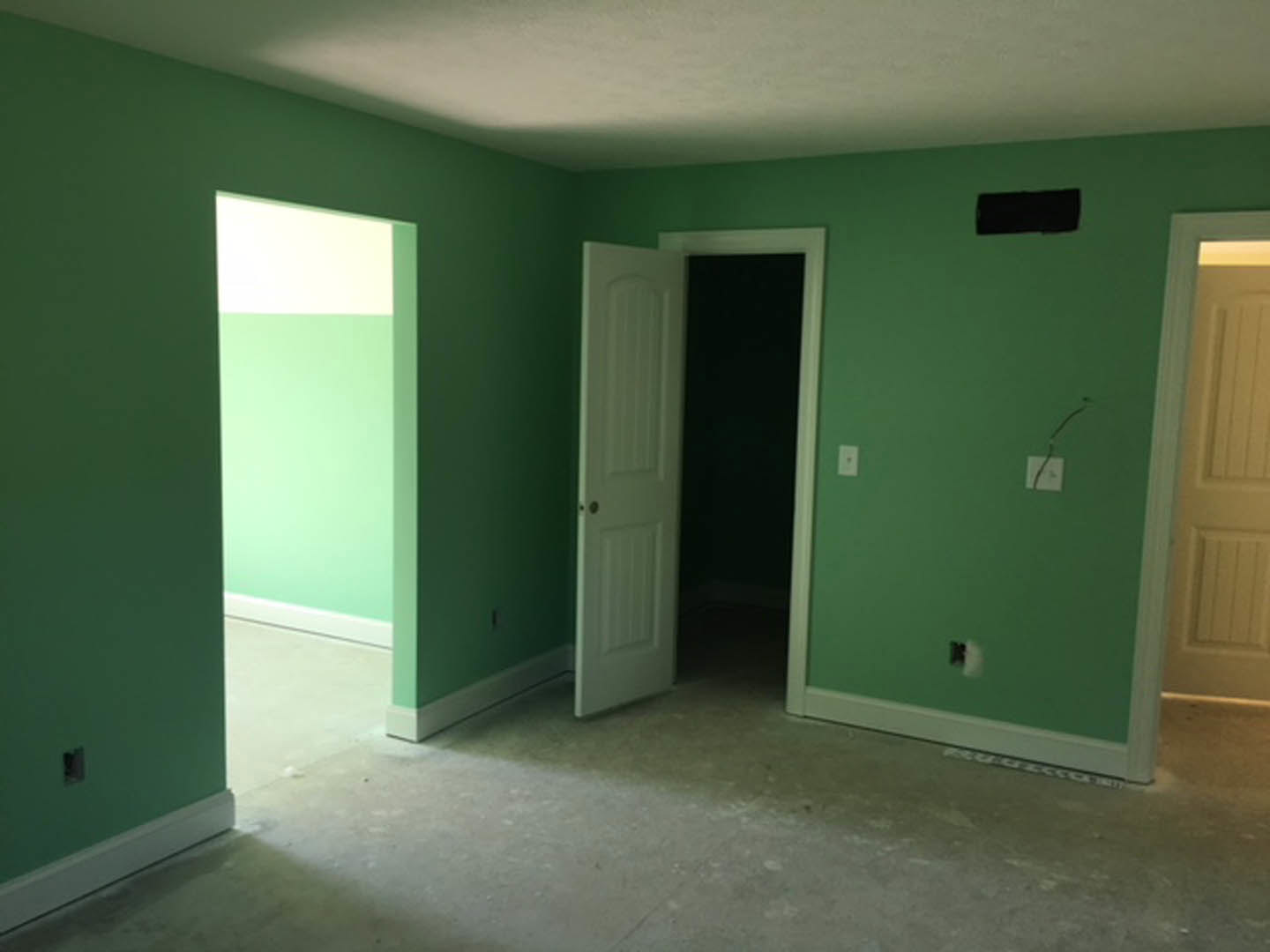 White paneled door with round knob set in green plaster wall, light wood flooring, black rectangular fixture mounted on wall