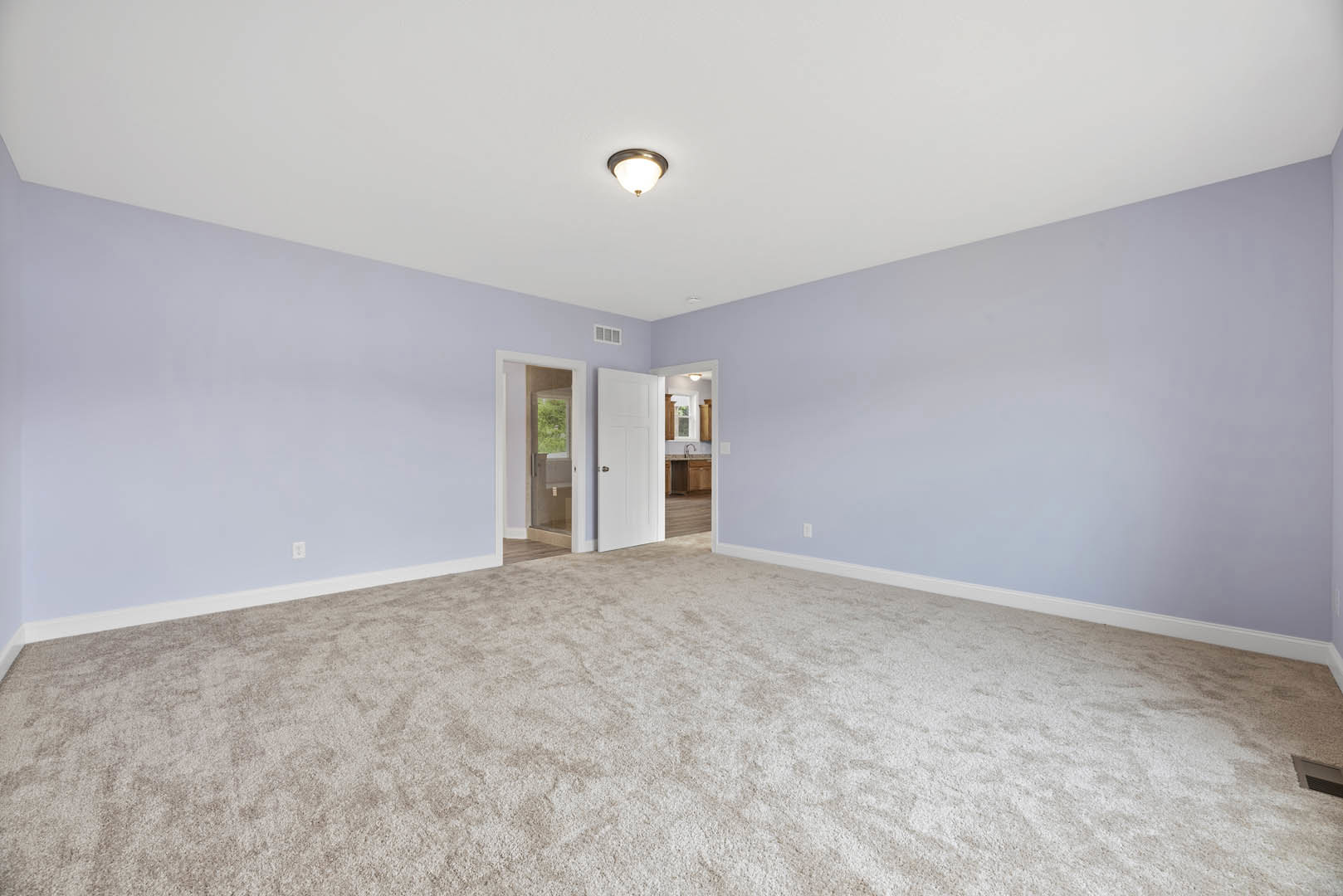 Carpeted room with light blue walls, white door with silver knob and window, ceiling light fixture, window showing green tree outside