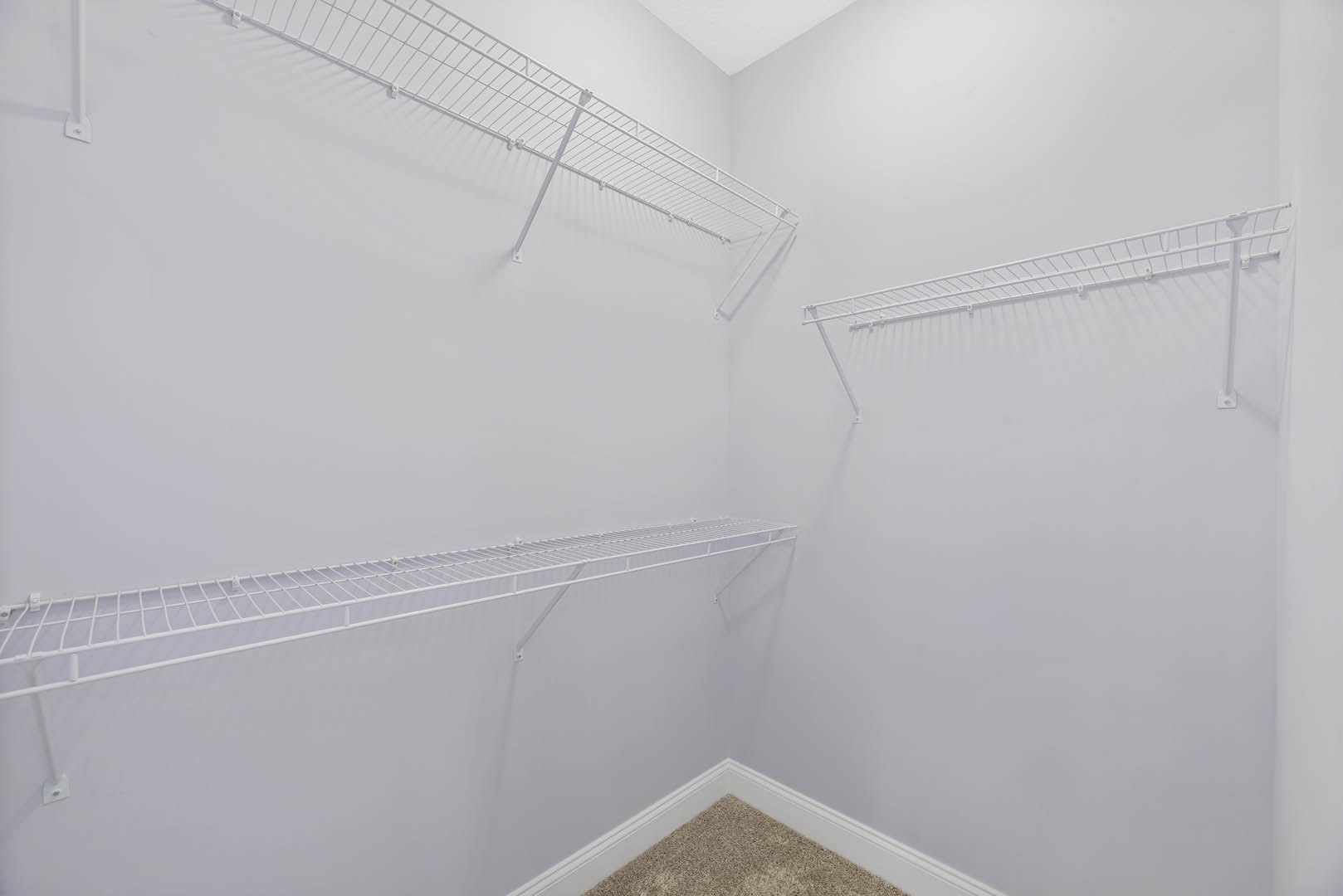 White wire shelving mounted on a plaster wall above beige carpet in a residential room with white ceiling.