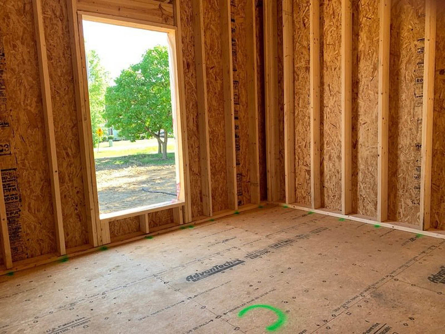 Sunlit room with wood plank flooring, open door, large window framing a leafy green tree, and a circular green logo on the brown floor.