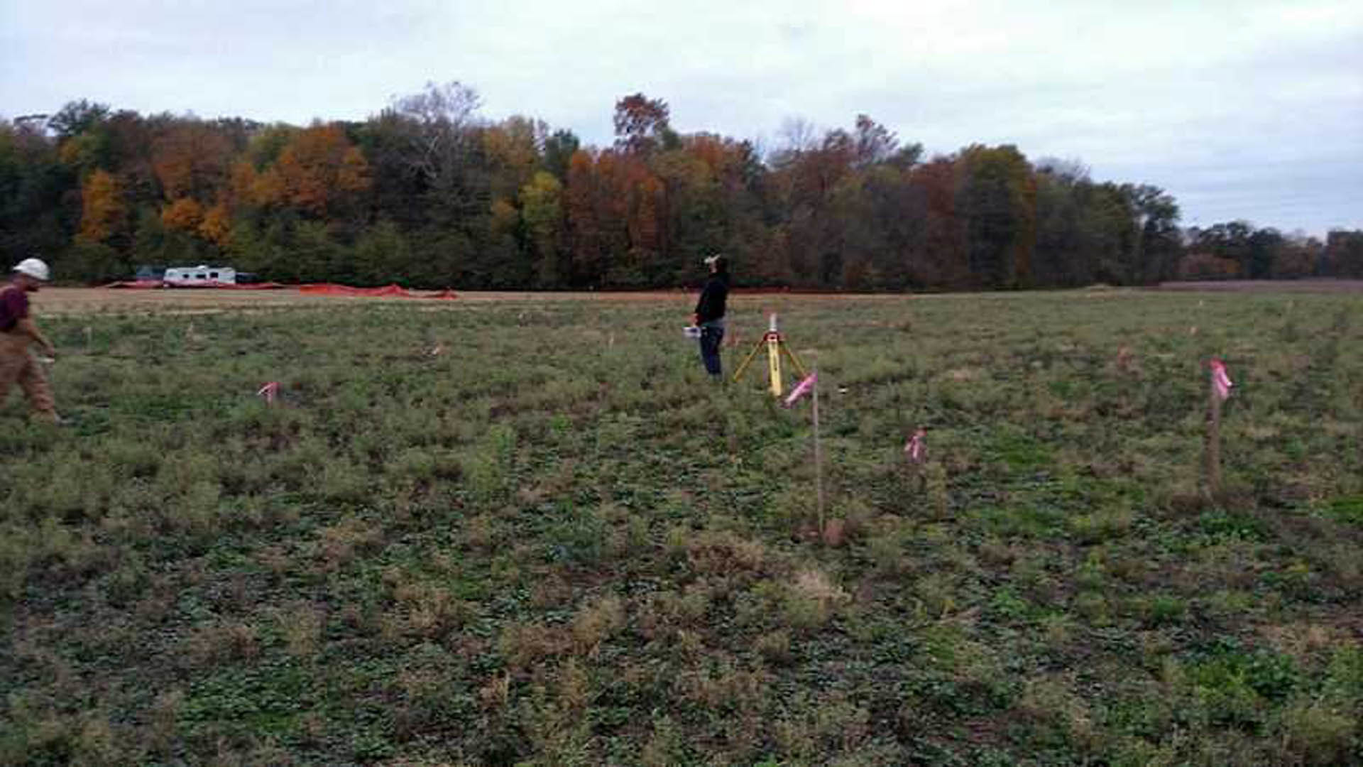 Modern farmhouse with white siding and black-framed windows set on a grassy field, surrounded by mature trees under a partly cloudy sky