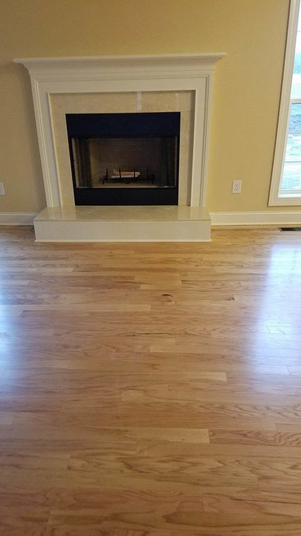 Modern living room with hardwood floors, white walls, and a glass-front fireplace set against a black surround
