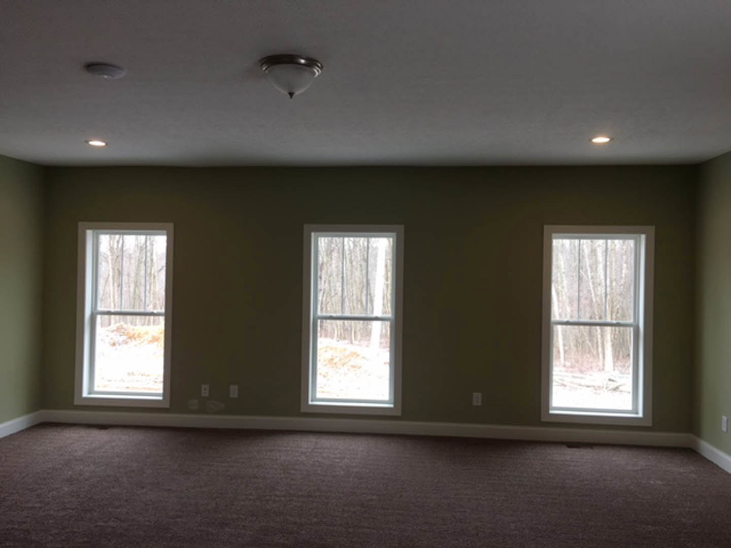 Spacious room with large windows, beige carpet flooring, white plaster walls, and views of trees and a wooden fence outside