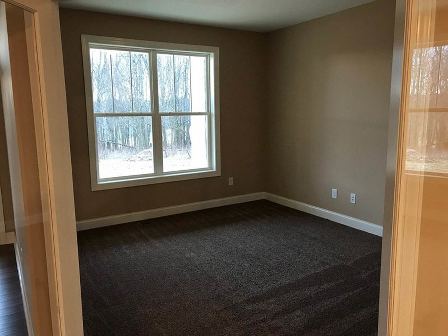 Carpeted room with large window overlooking trees, white walls, and dark flooring