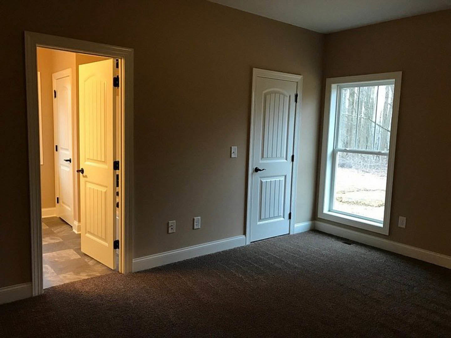 Neutral-toned room with two white paneled doors featuring black handles, a window with outdoor view, and light carpet flooring