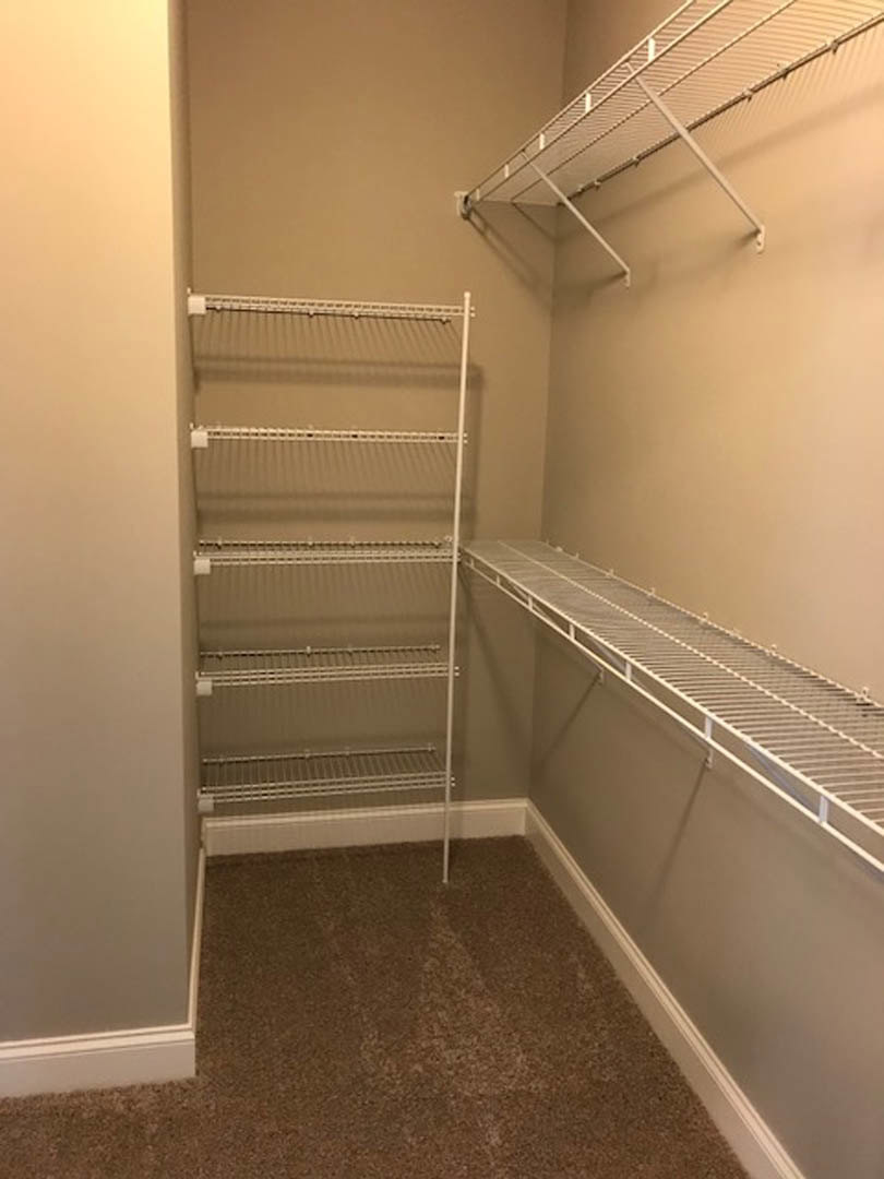 Empty closet with built-in white shelves, carpeted floor, and white trim along the walls