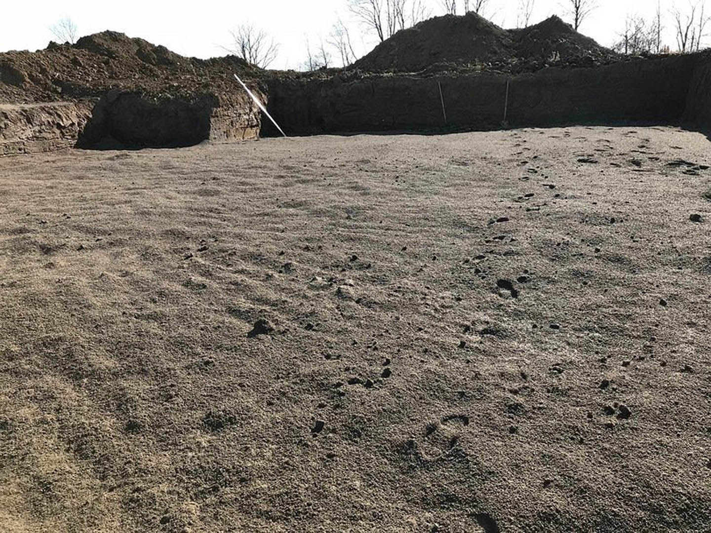 Dirt field with a large pile of soil, bare trees in the background, and a white object resting on rocks under a clear sky