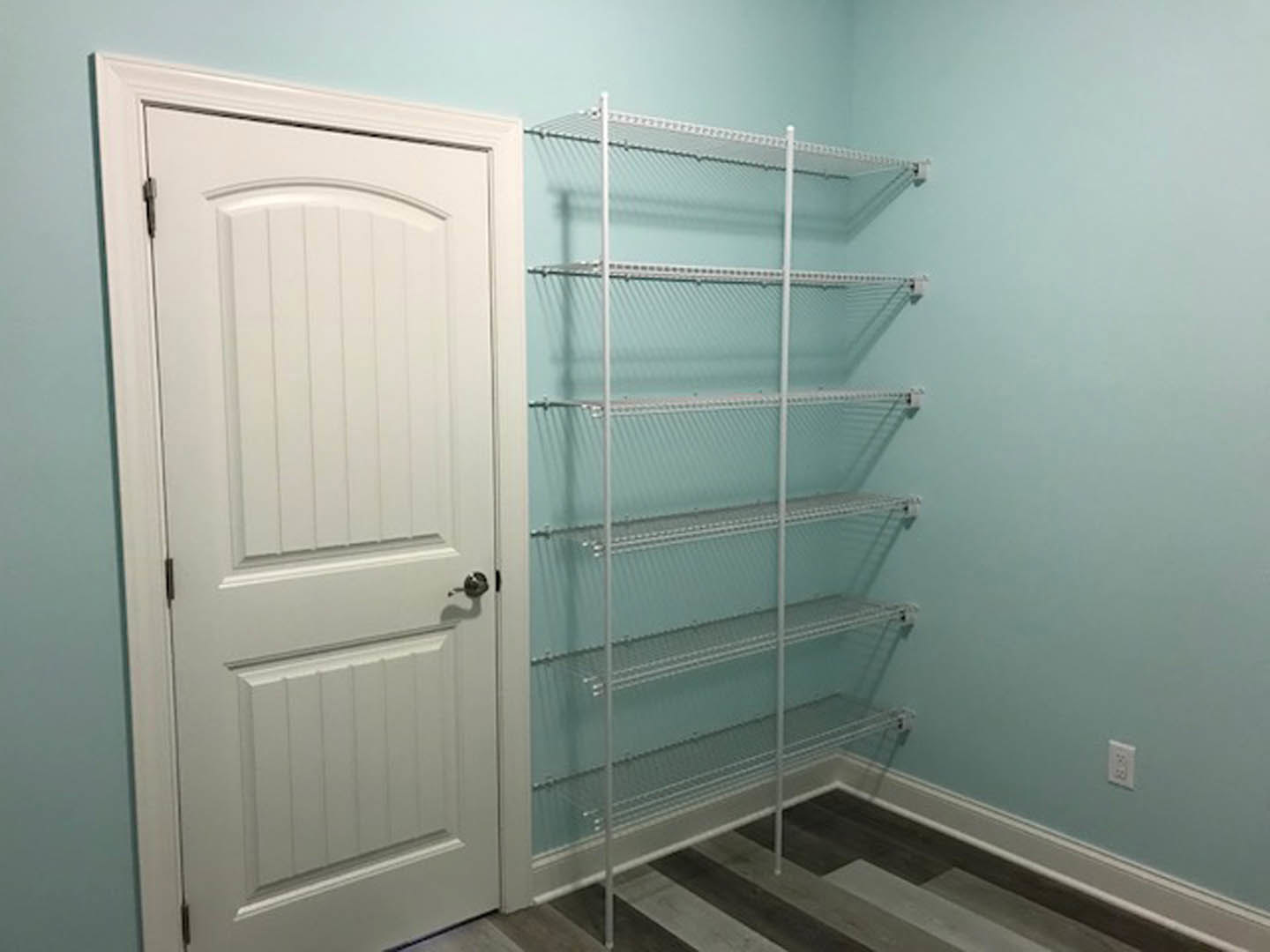 White door with silver handle beside built-in white shelving, white electrical outlet on wall, blurred dog in foreground