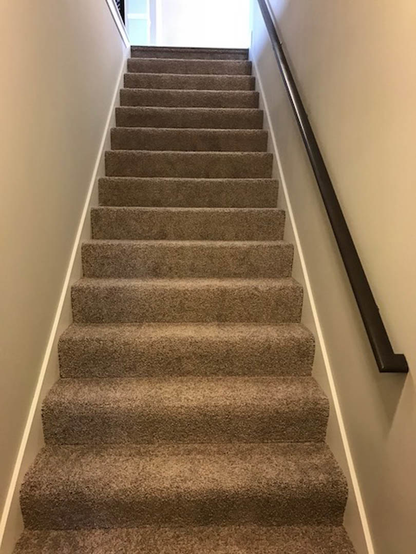 Carpeted staircase with wooden handrail and neutral painted walls