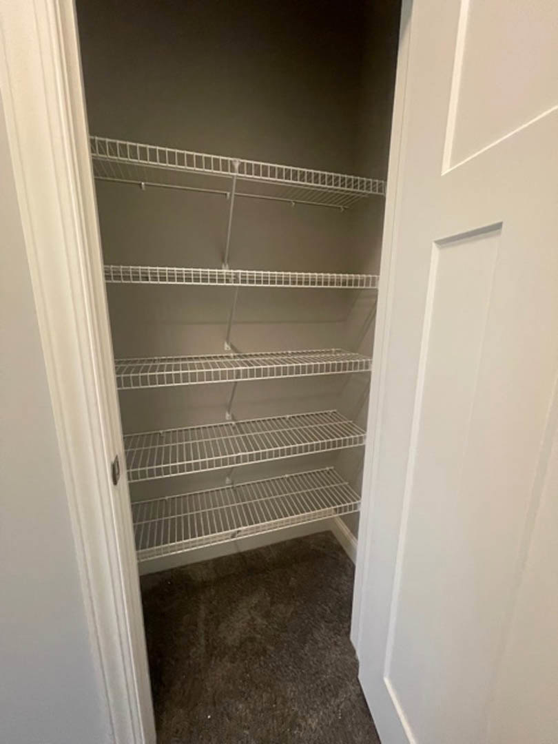 White built-in shelves inside a closet with brown carpet flooring and smooth white walls