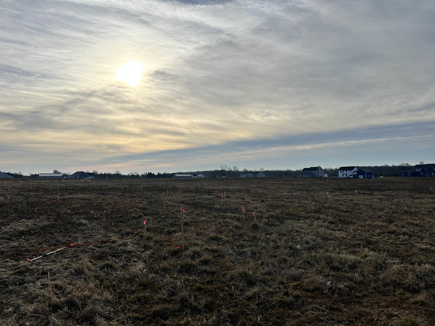 Modern farmhouse with light siding and dark roof set beyond a grassy field dotted with red survey flags, mature trees lining the horizon under a partly cloudy sky.