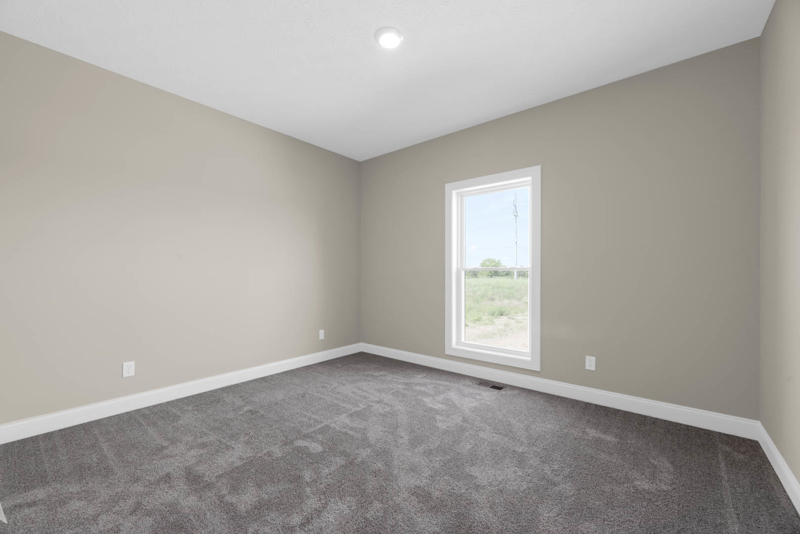Neutral-toned room with grey carpet, white walls, ceiling light fixture, and large window overlooking a grassy field and tree