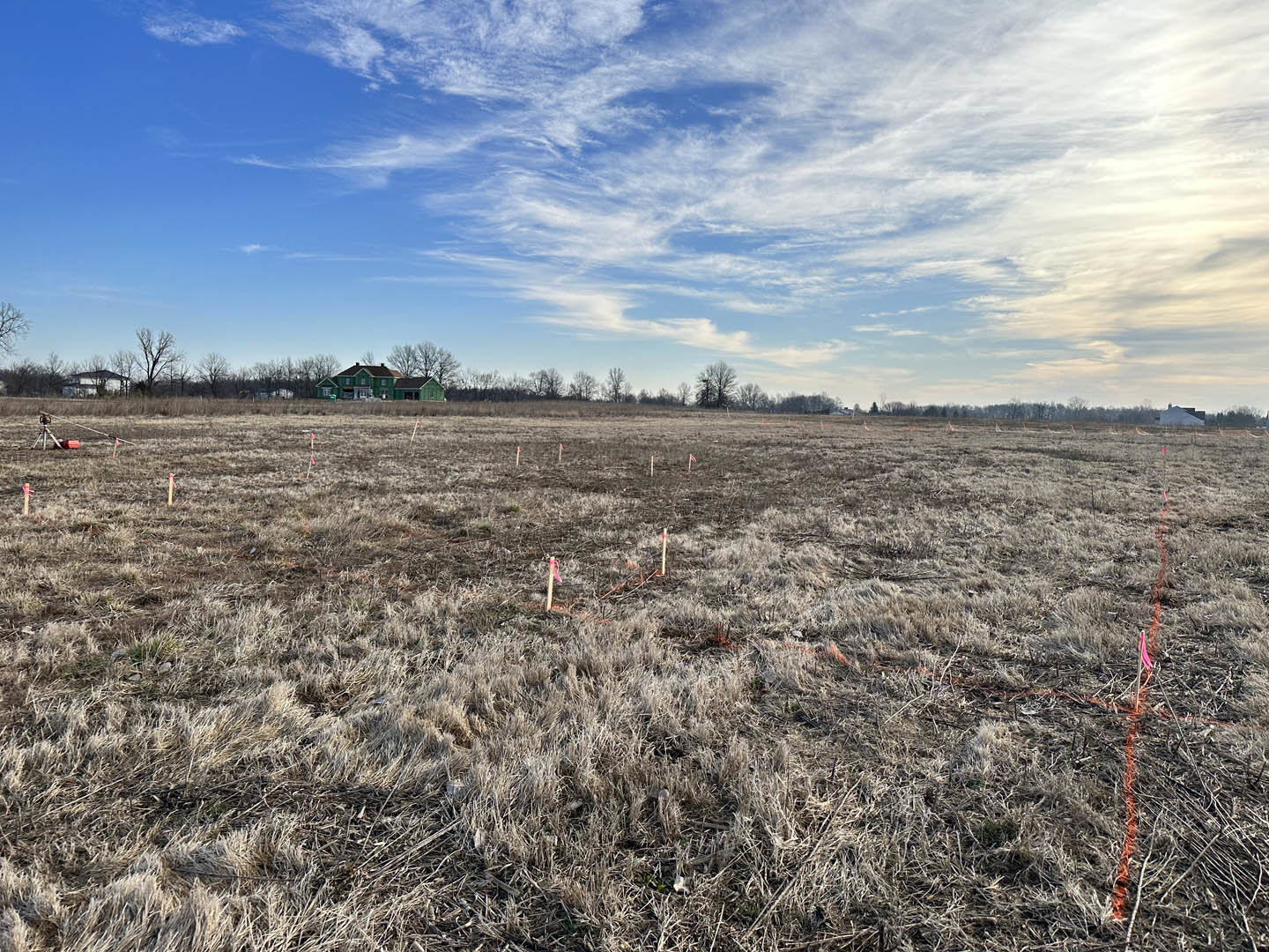 Grassy field with scattered orange poles, blue sky with clouds, leafless tree, and green house partially visible among trees in the background