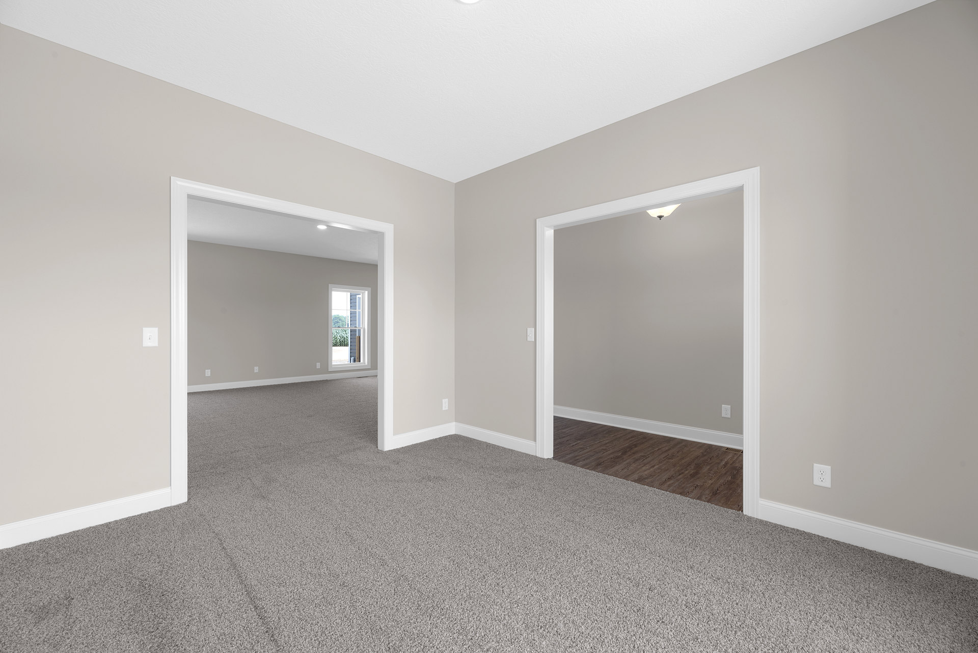 Carpeted room with white walls, open door, window showing outdoor view, and wood laminate flooring near doorway