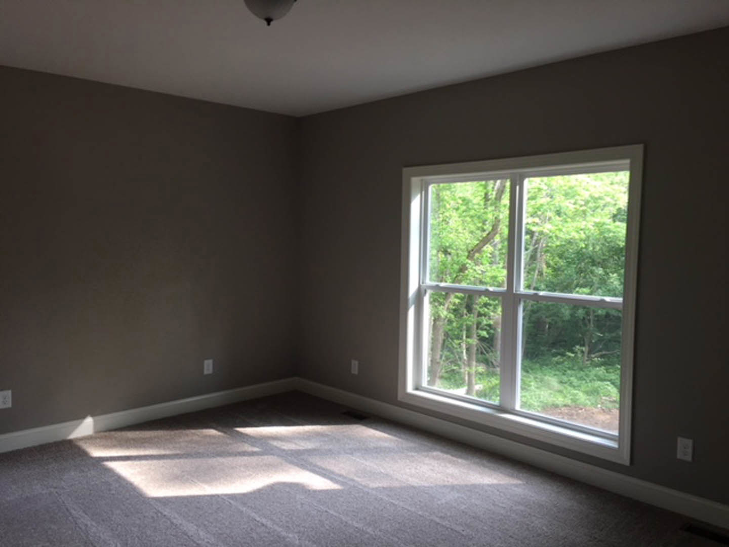 Carpeted bedroom with large window overlooking trees, white ceiling with recessed light fixture, neutral walls, and window blinds.
