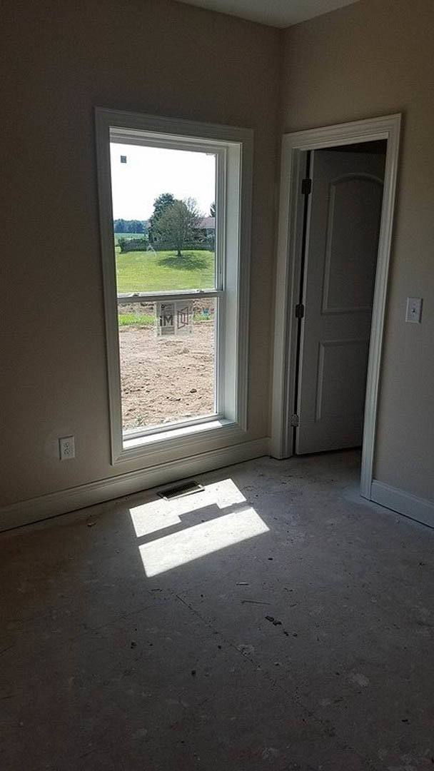 Large window with tree view, sunlight casting drain shadow across light-colored floor in modern room with neutral walls