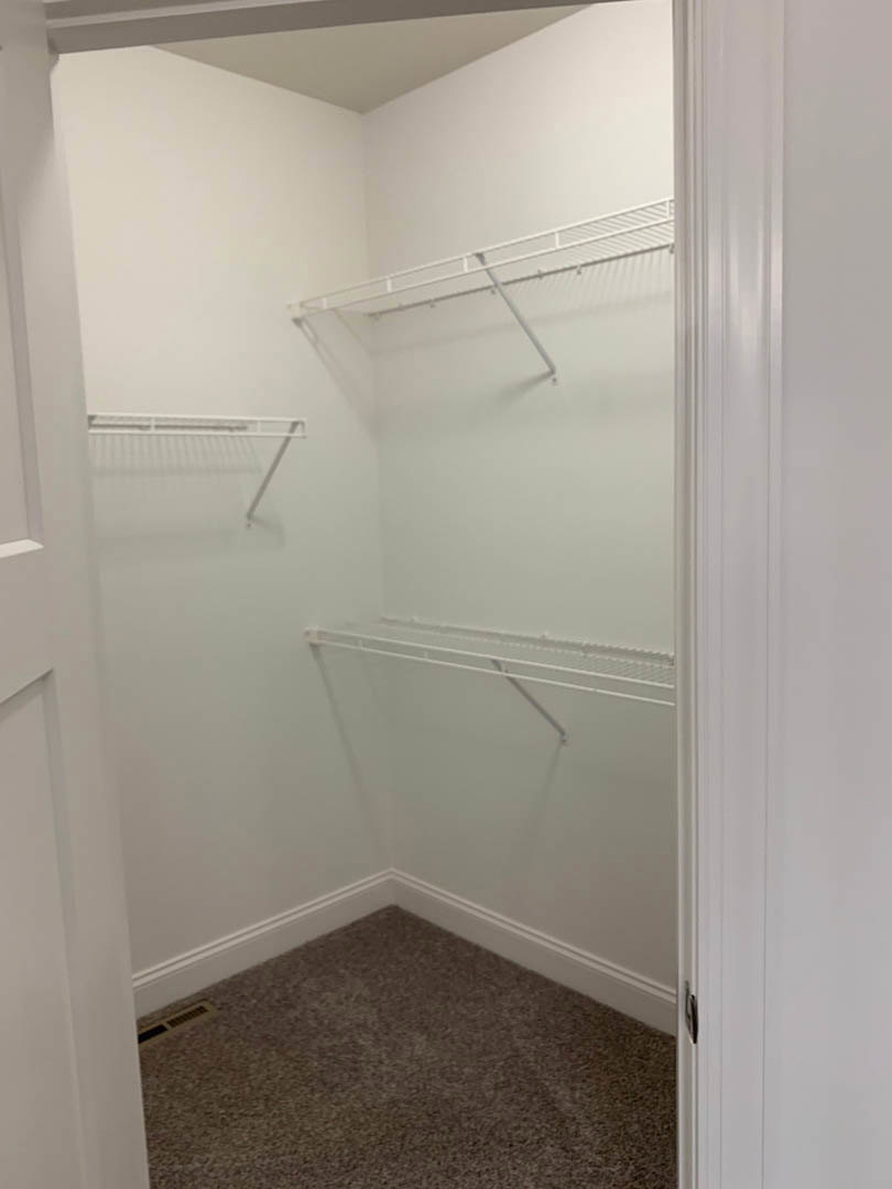 Walk-in closet with white built-in shelves, white walls, and beige carpet flooring