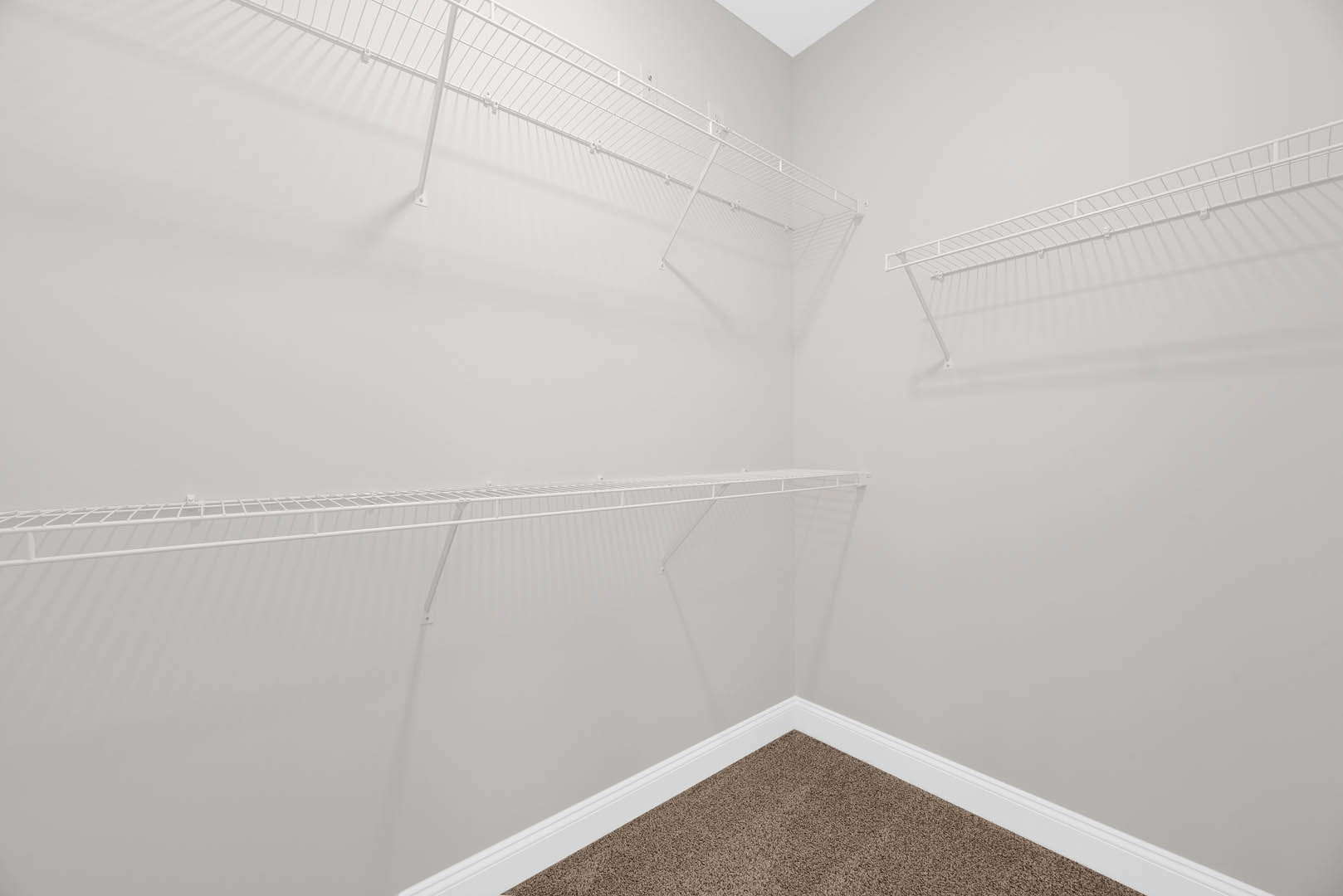 Built-in white shelves against a smooth white plaster wall, soft gray carpet flooring, minimalist indoor setting with subtle foggy lighting.