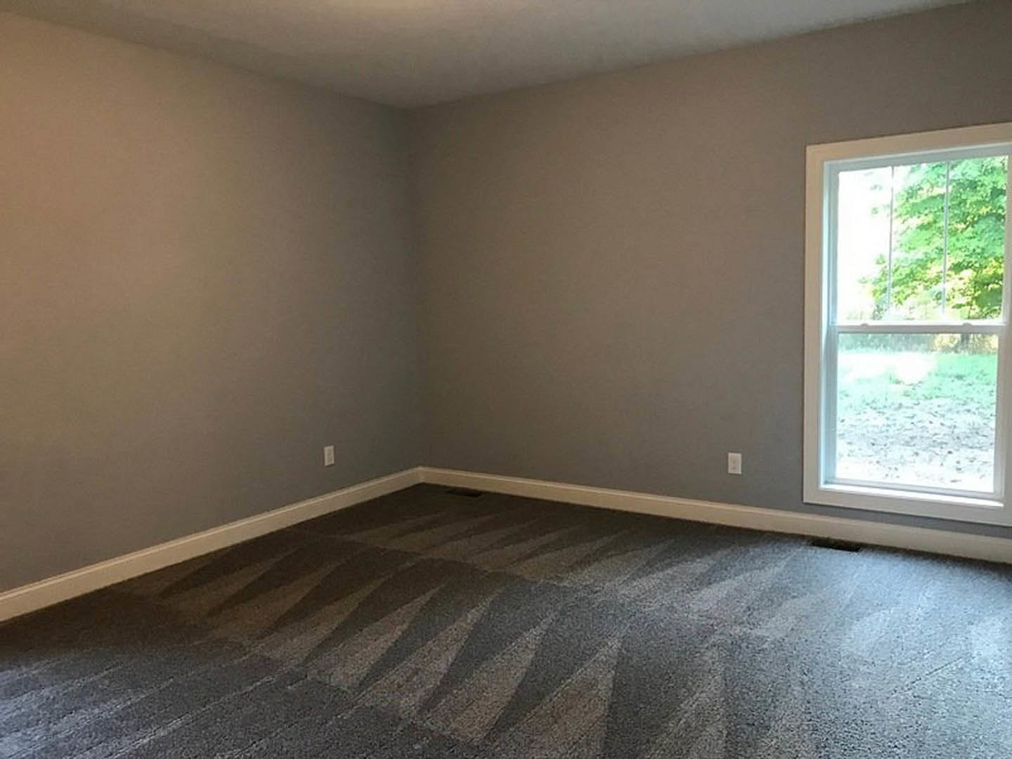 Carpeted room with white walls, large window overlooking green trees, natural light highlighting neutral finishes
