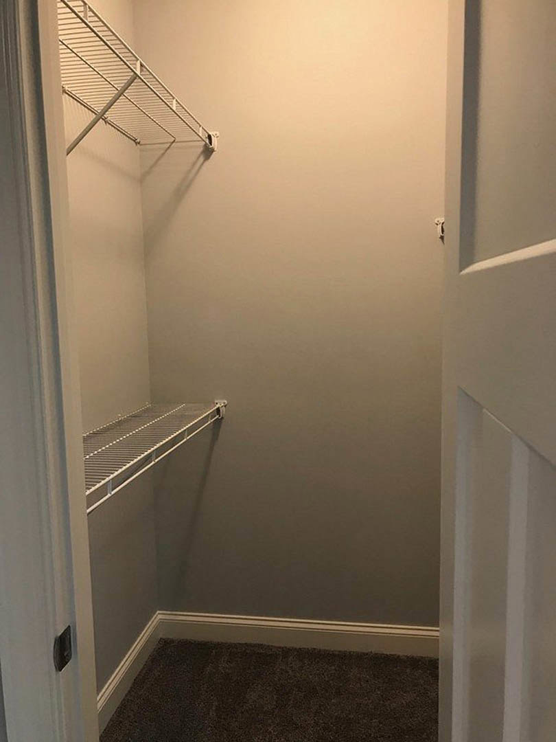 Walk-in closet with white shelving, beige carpet flooring, and white plaster walls