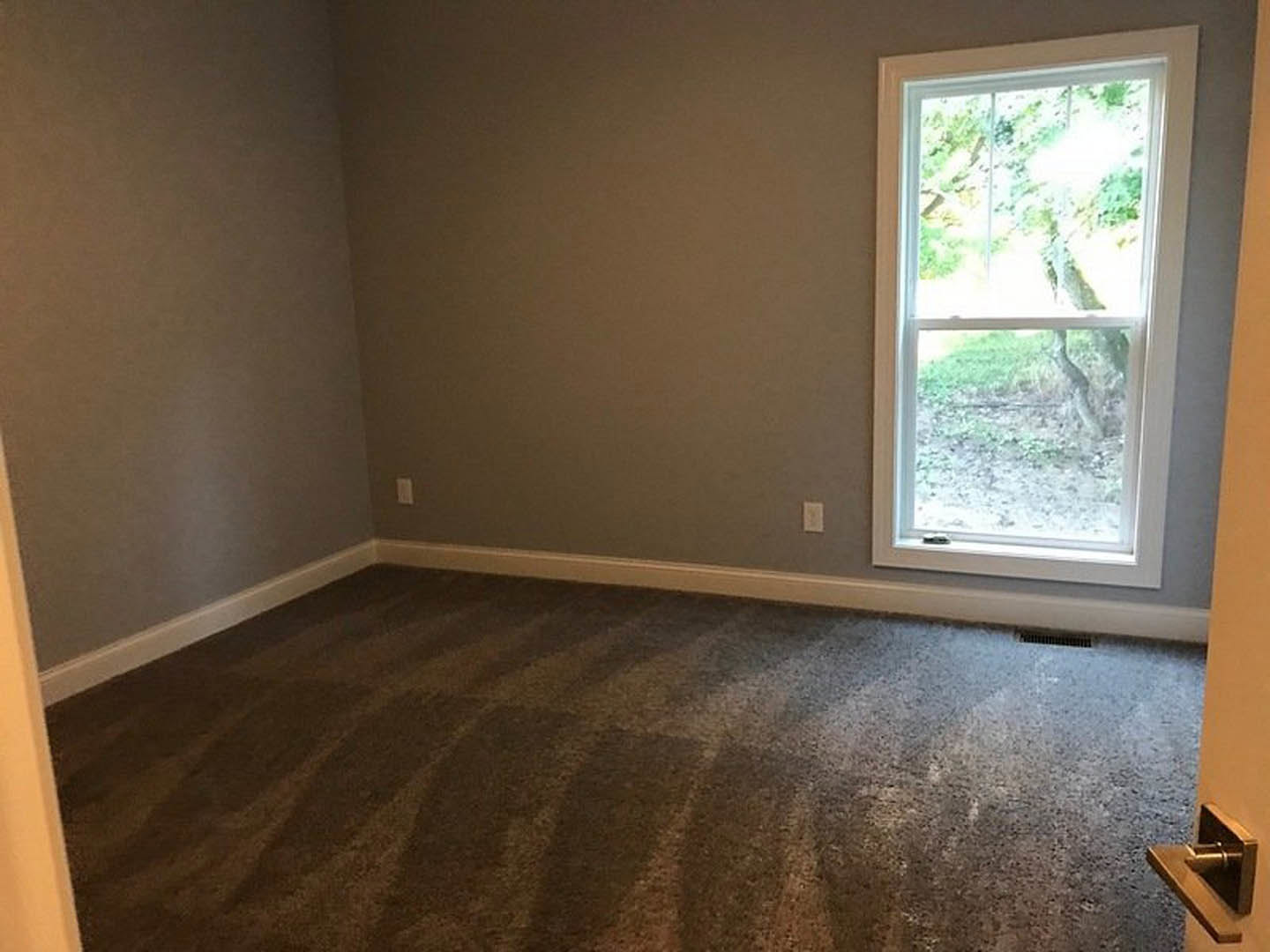Carpeted room with white walls, large window showing green trees outside, close-up of silver door handle, natural light illuminating laminate flooring.