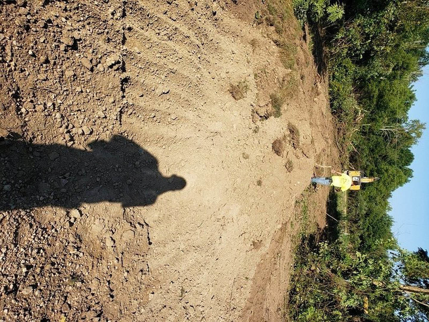 Modern custom home exterior with light-colored stucco walls, large windows, and a landscaped yard featuring young trees and soil-covered hill in the foreground