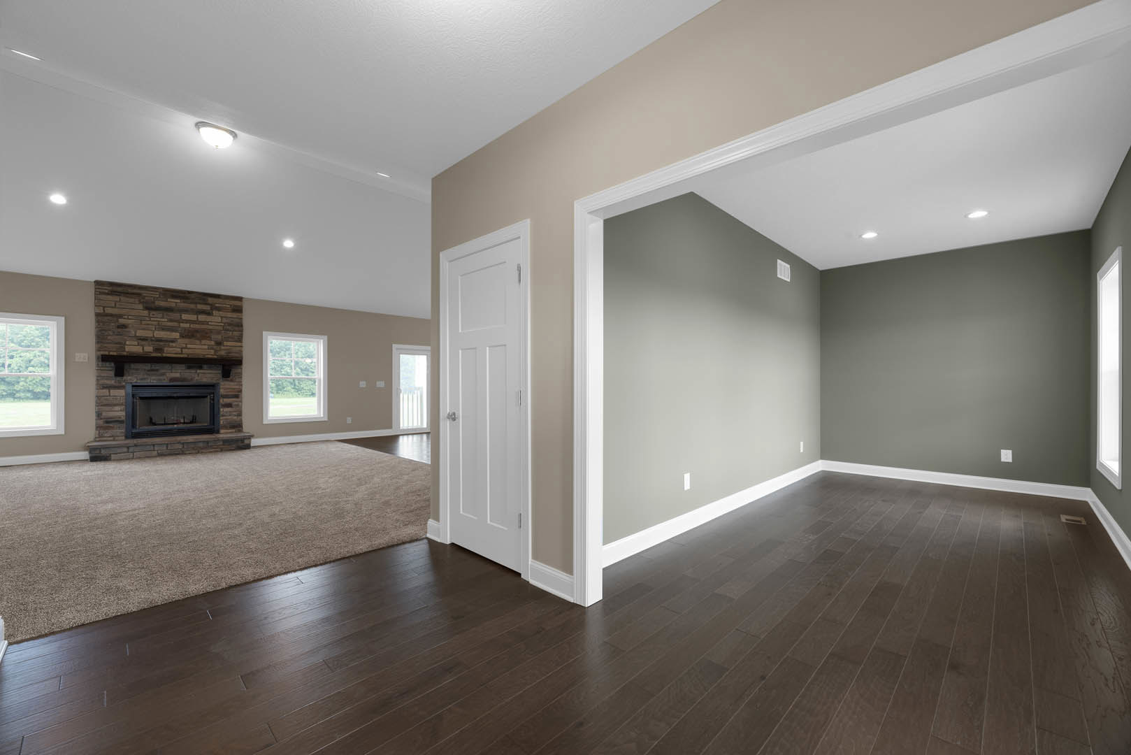 Living room with dark wood flooring, white trim, carpeted area, glass-door fireplace set in a plaster wall, and a white door with silver hardware