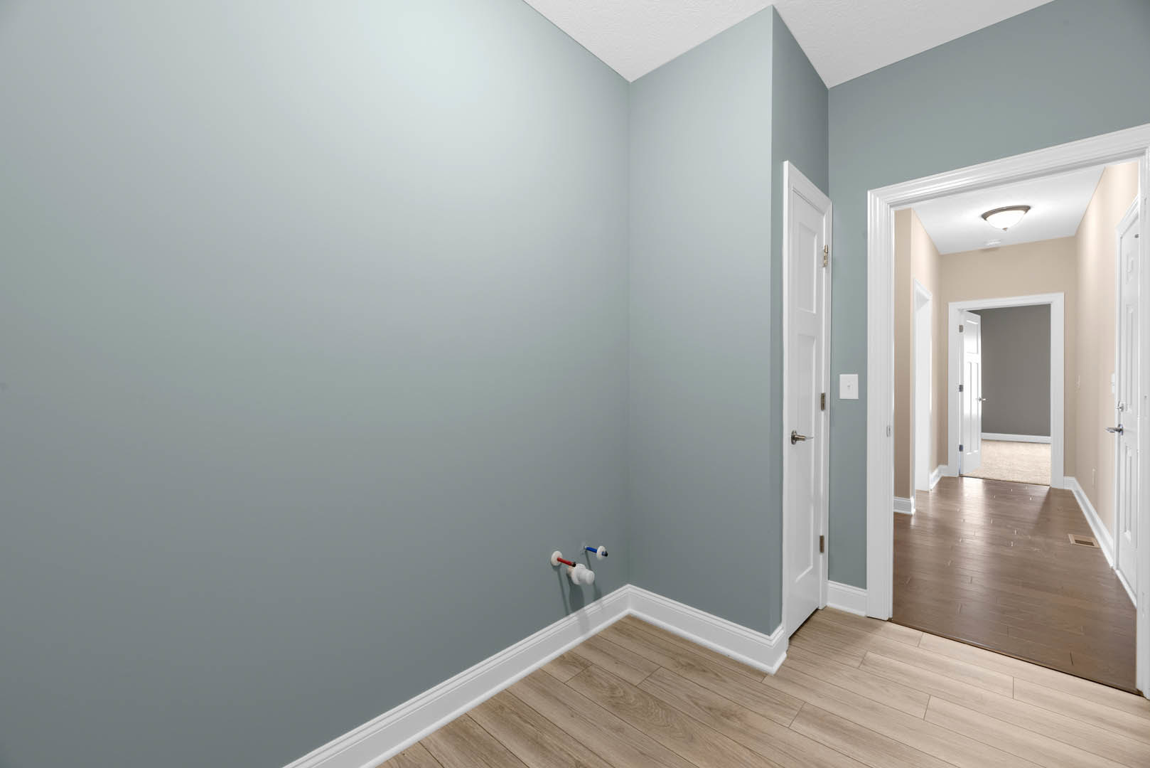 Hallway with light wood flooring, white baseboards, white walls, ceiling light fixture, and a closed white door