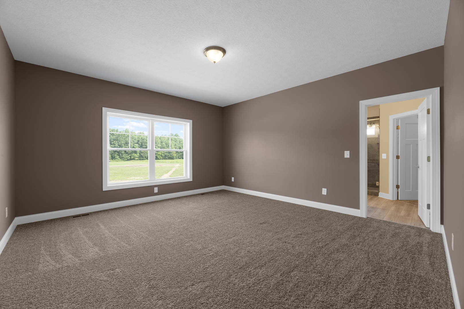 Neutral-toned carpeted room with white walls, large window overlooking grassy field, ceiling light fixture, and paneled door