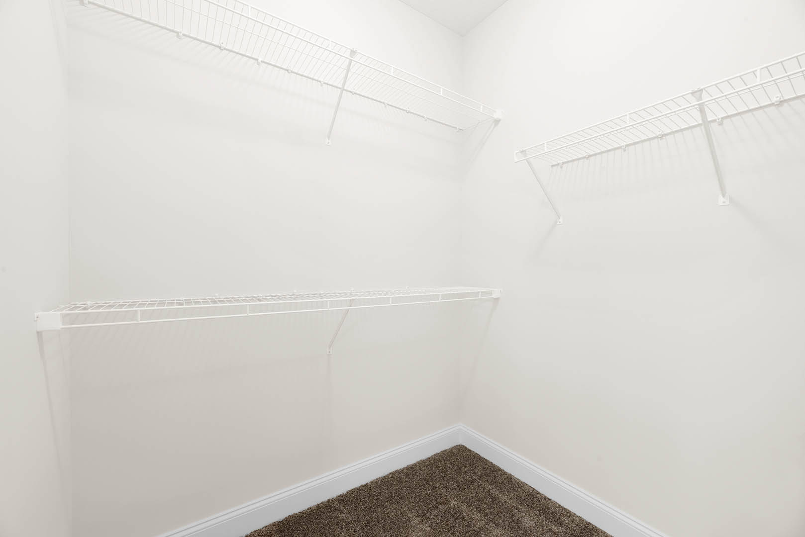 Built-in white shelves on a plaster wall, light carpeted floor, and smooth white ceiling in a modern indoor room