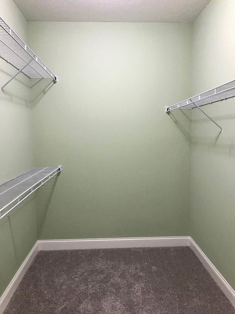 Walk-in closet with white shelving units, soft grey carpet flooring, and smooth painted walls