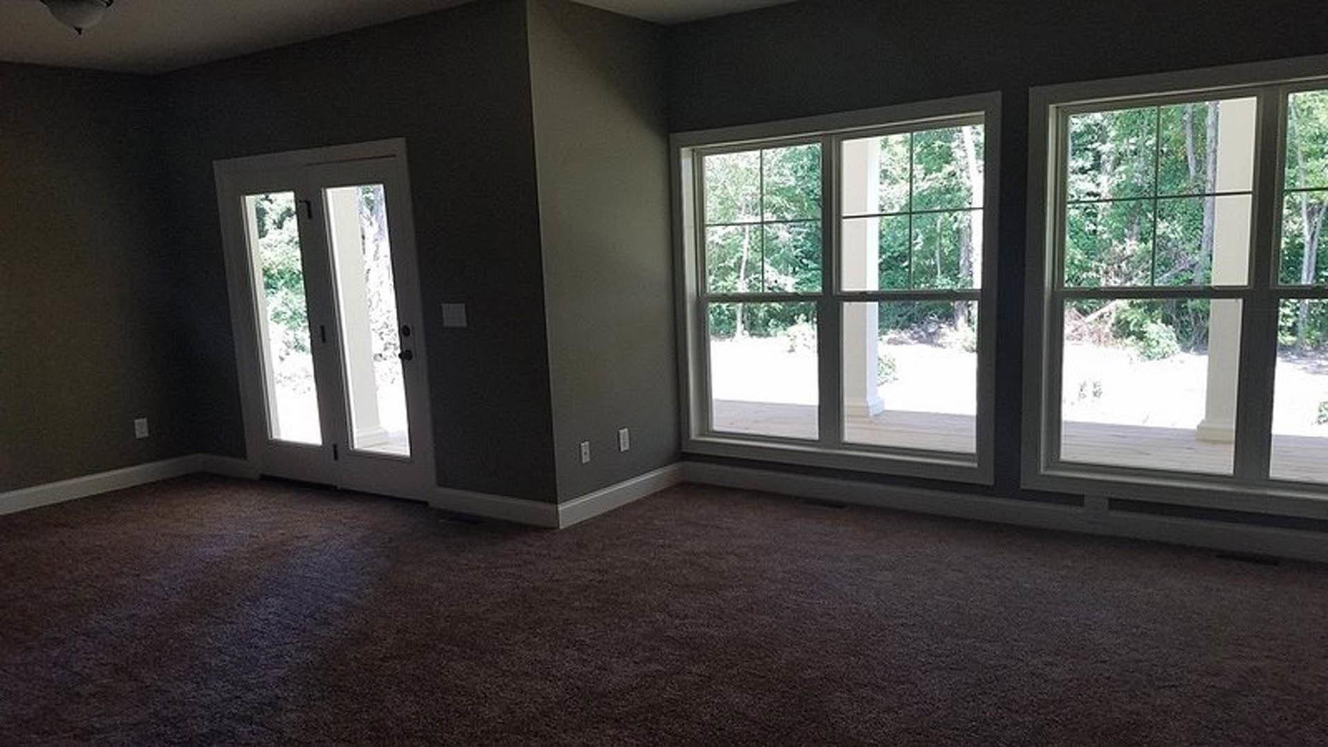 Carpeted room with white walls, large windows showing leafy trees outside, and a wooden door