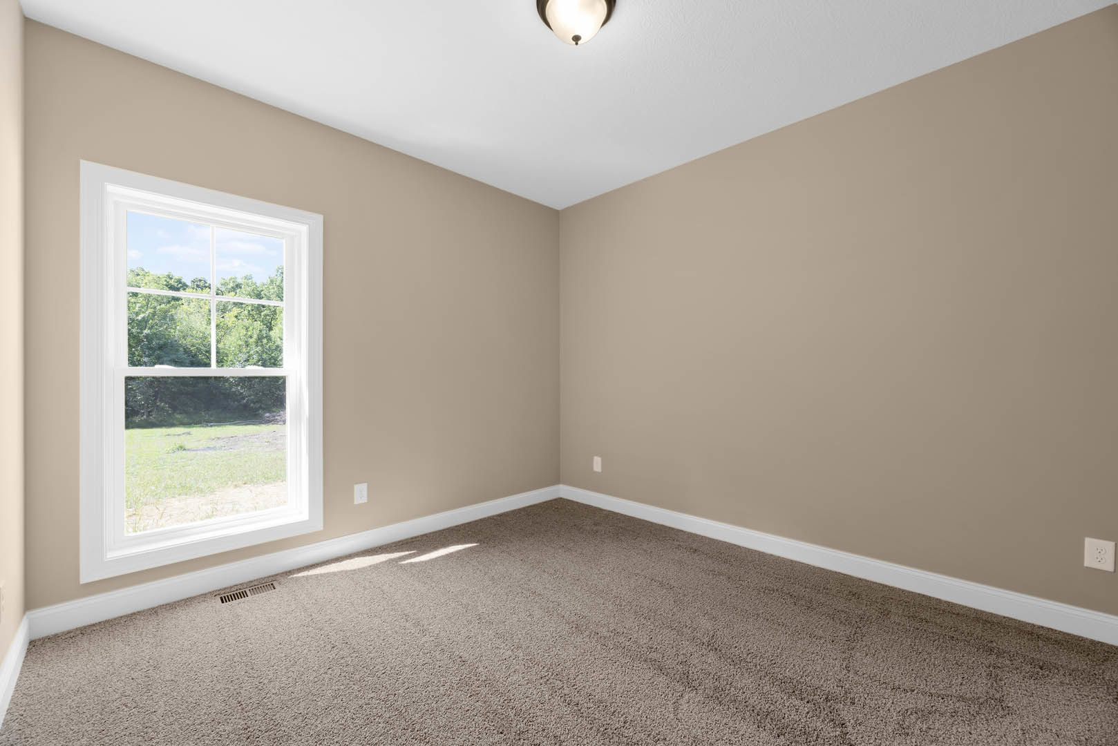 Carpeted room with white walls, large window overlooking grass and trees, ceiling light fixture, white electrical outlet, and crown molding.