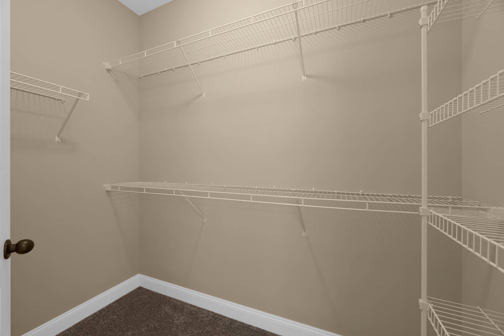 Walk-in closet with white built-in shelves, carpeted floor, and a door with silver knob