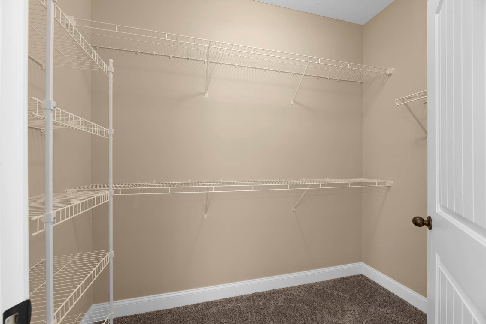Empty walk-in closet with white built-in shelves, carpeted floor, and white walls