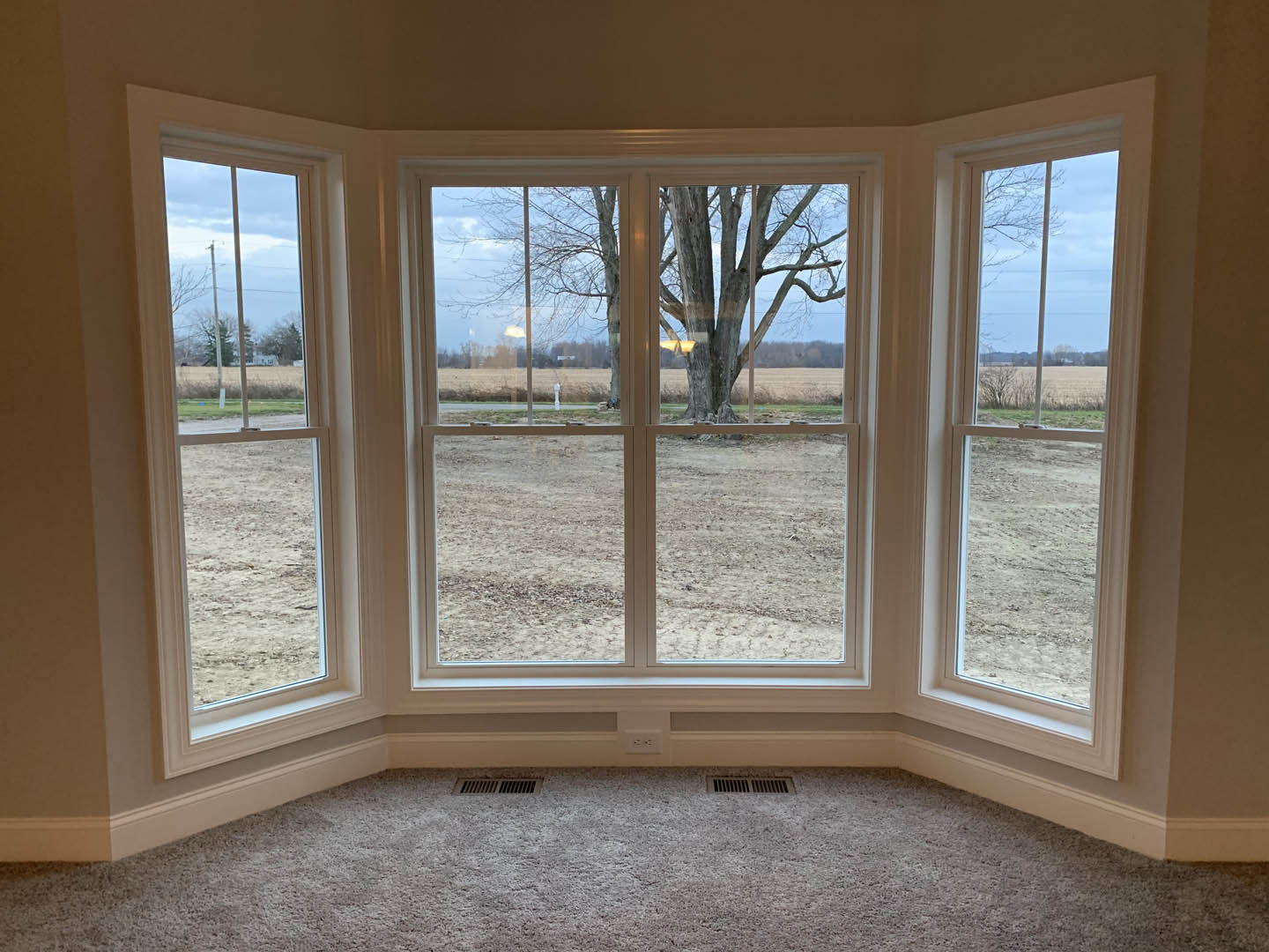 Spacious room featuring large windows with white trim, neutral carpet flooring, and a leafy tree visible outside