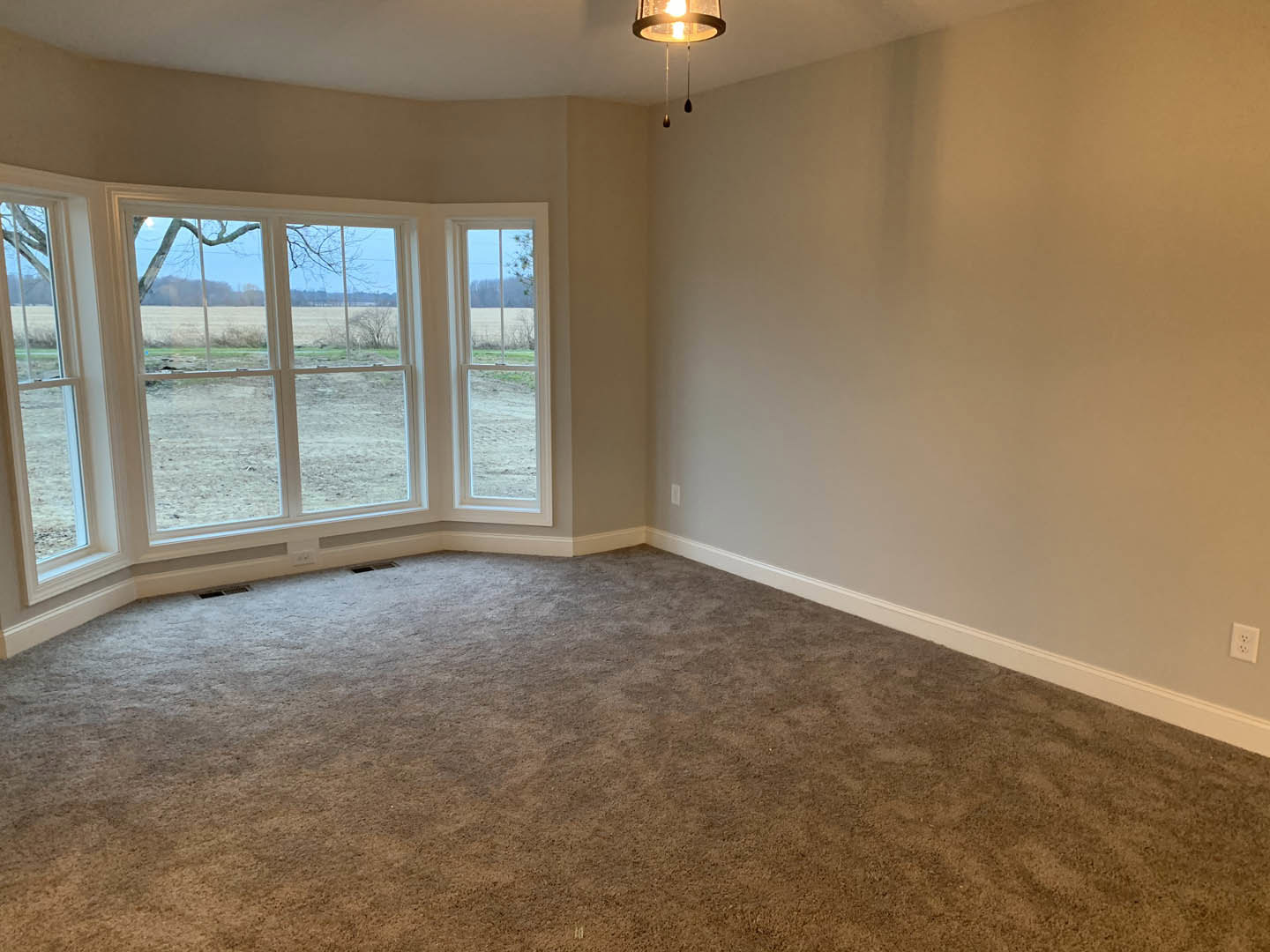 Neutral-toned carpeted floor, large window overlooking grassy field, white plaster walls, ceiling-mounted light fixture
