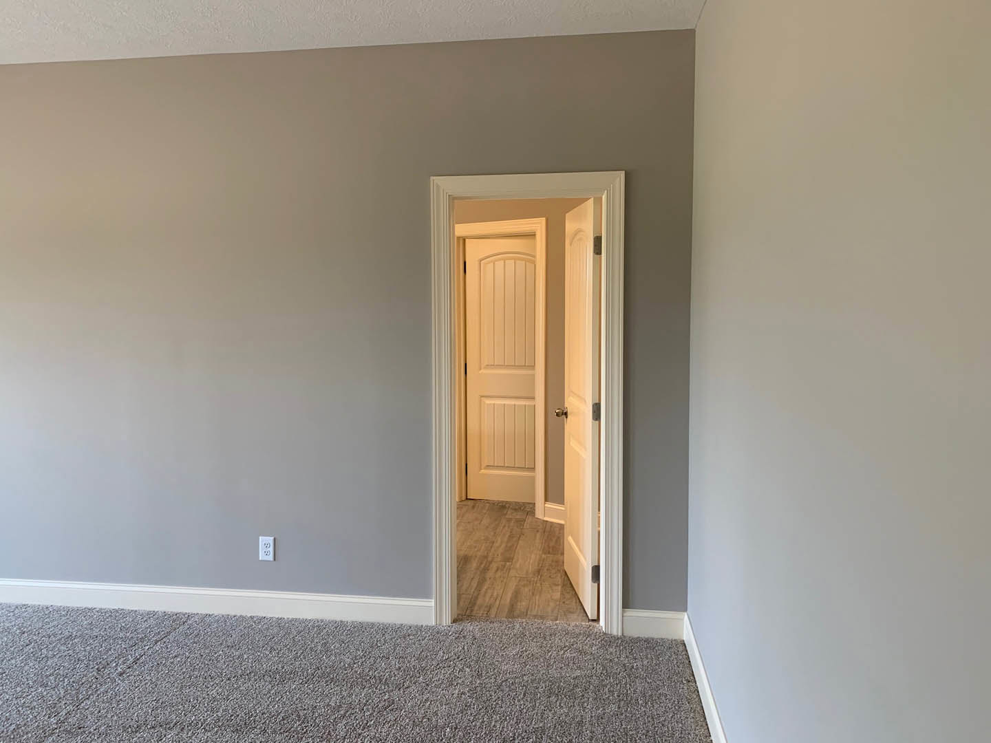 White paneled door set in a white wall, wood flooring and carpet visible, black and white object in corner
