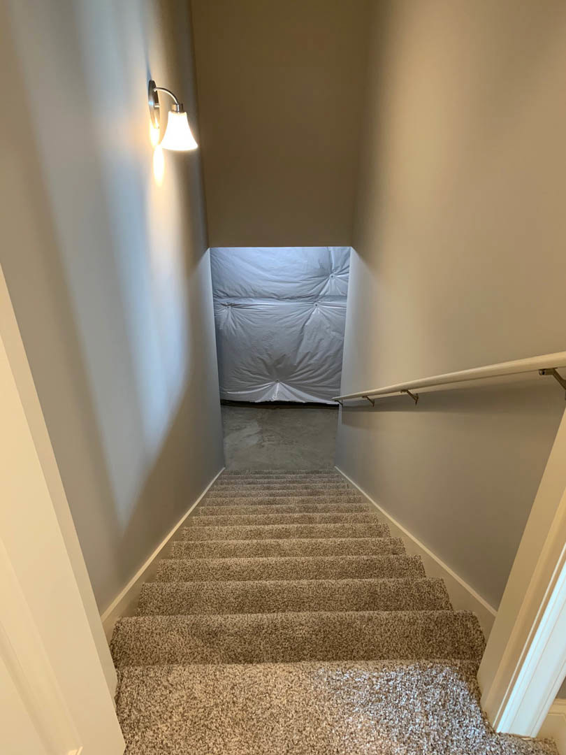 Carpeted staircase with white walls, wall-mounted light fixture, and simple molding along the ceiling.