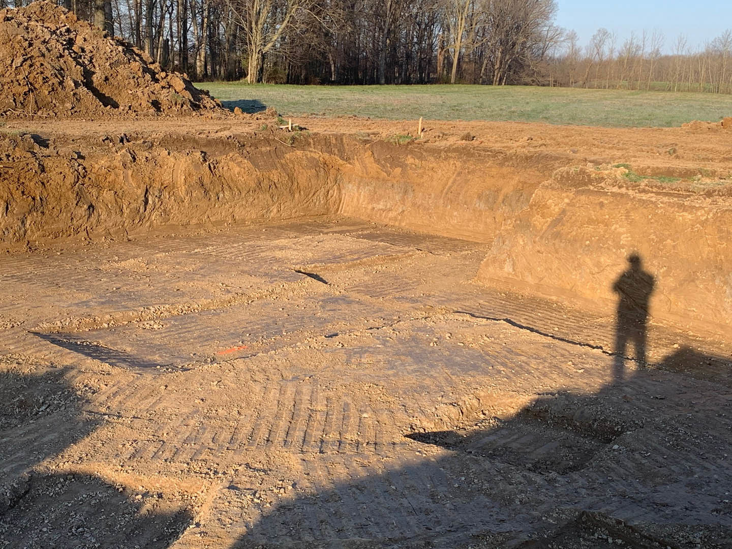 Person’s shadow cast on bare dirt ground surrounded by leafless trees and scattered soil piles under open sky