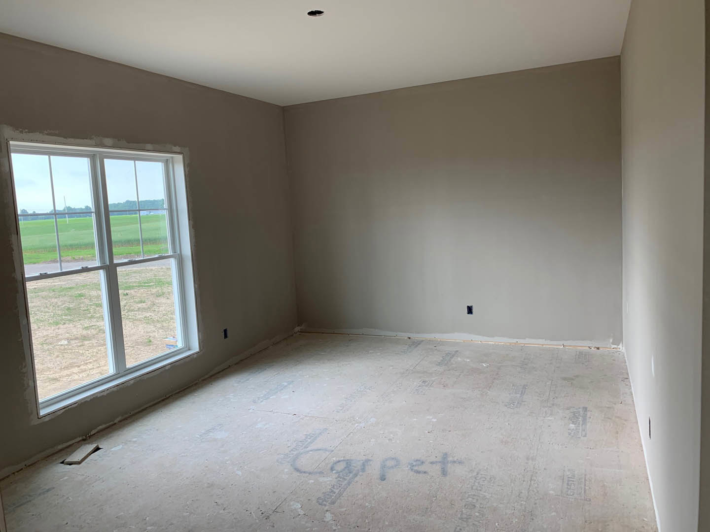 Bright room with two large windows, white plaster walls, light wood plank flooring, and green grass visible outside.