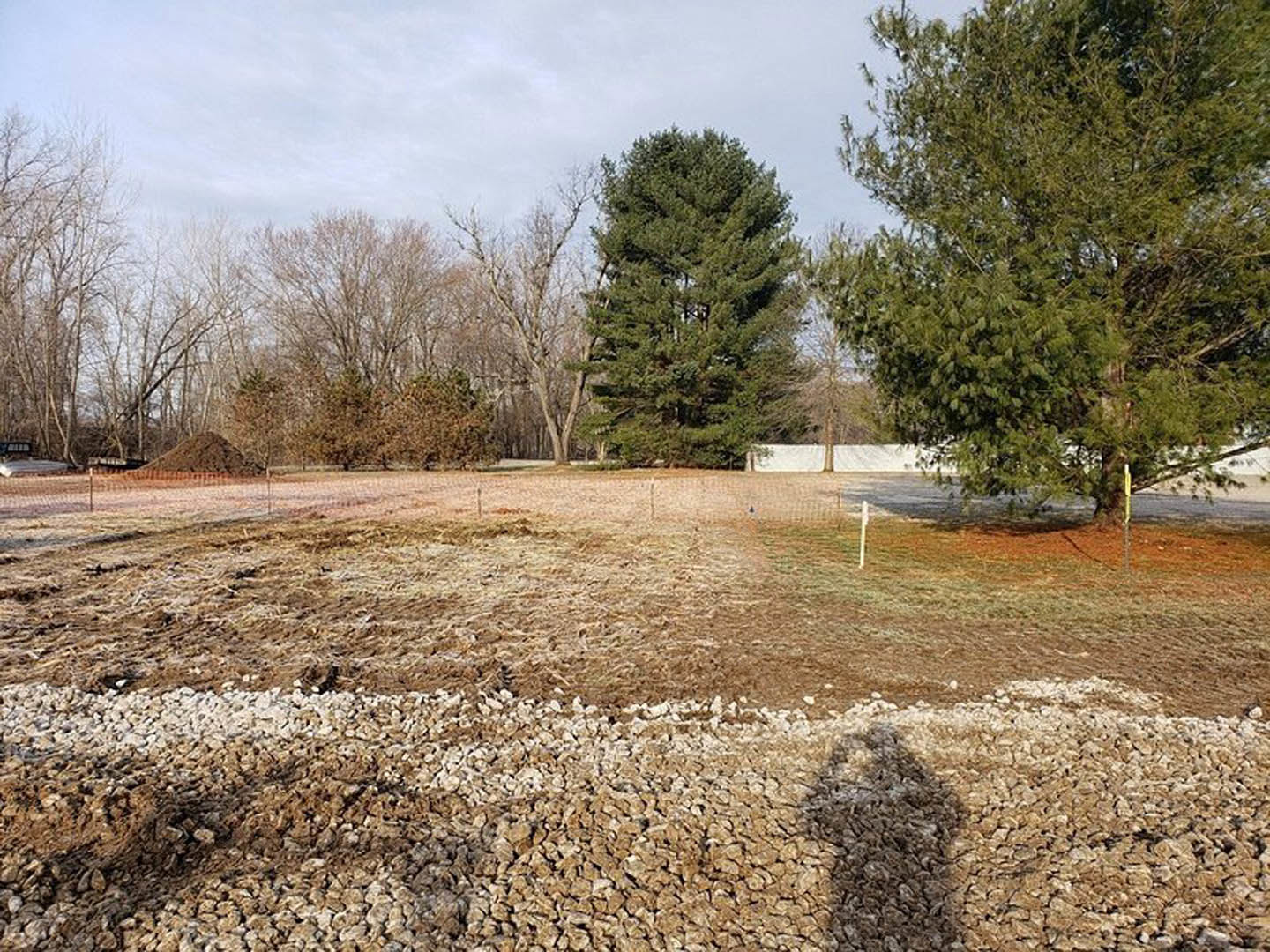 Dirt field bordered by a wooden fence, scattered rocks, and several tall green trees with dense leafy branches under a partly cloudy sky