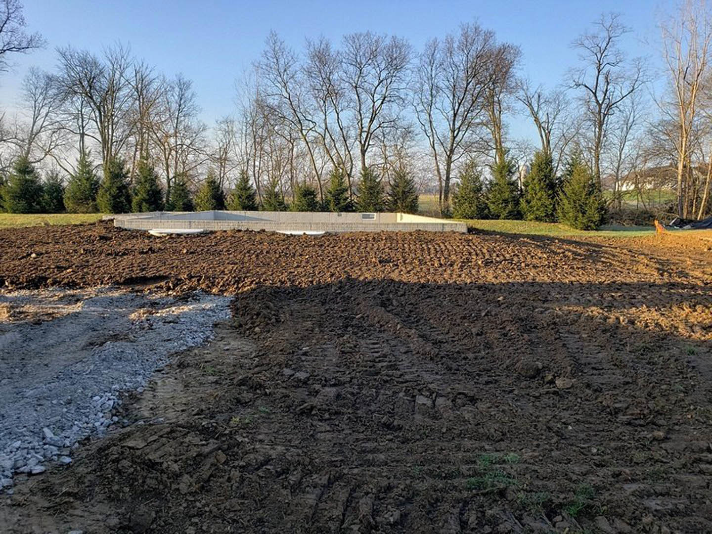 Dirt field bordered by a row of leafless trees under a pale winter sky