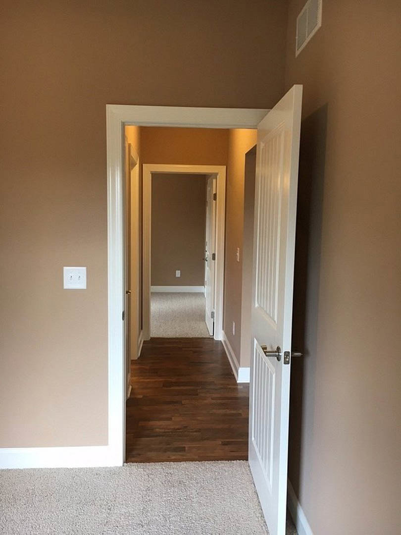 Hallway with dark hardwood flooring, white trim and walls, two light switches, open white door, close-up of beige carpet