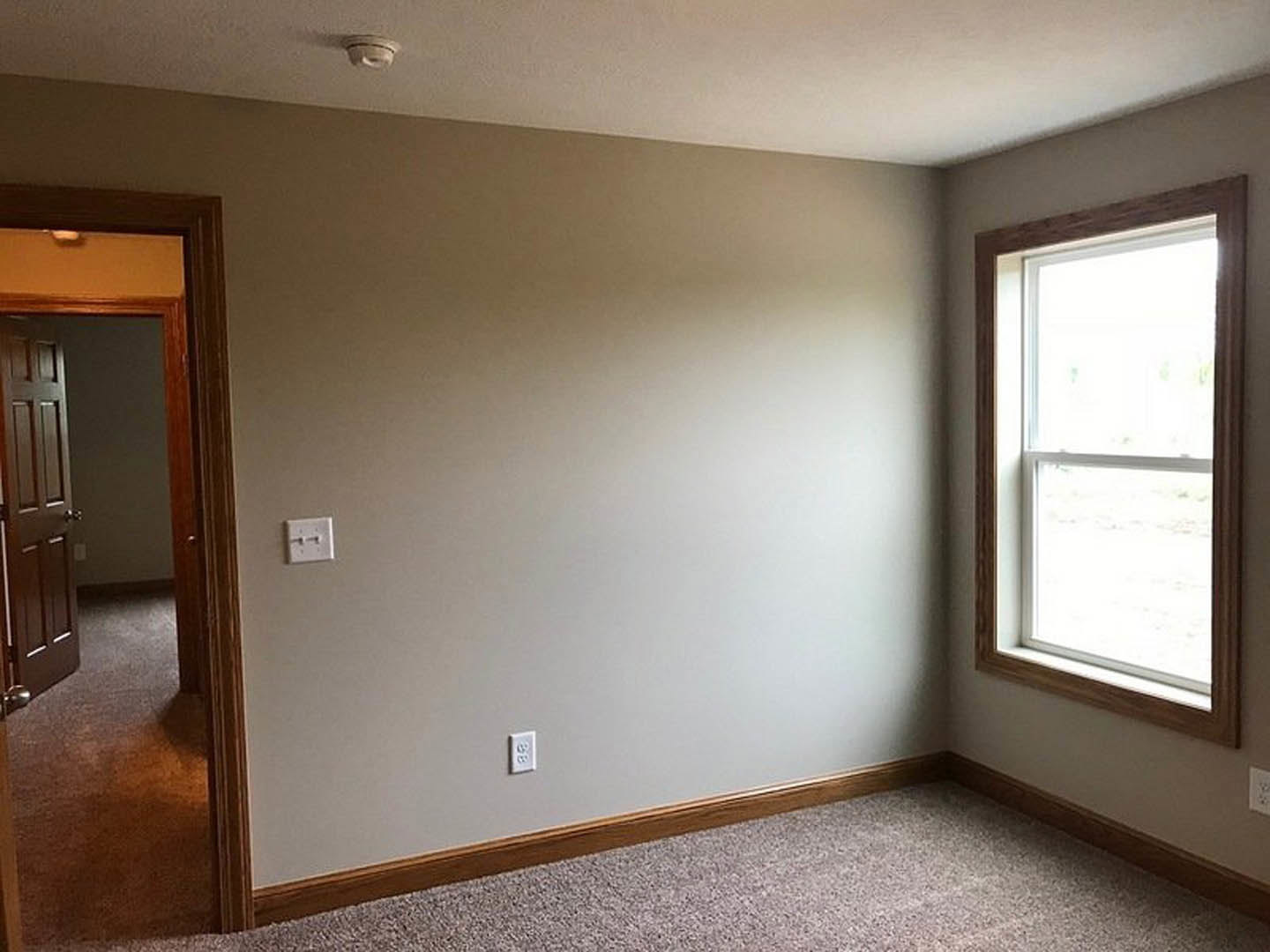 Carpeted room with open white door, white-framed window, and white light switch on plaster wall