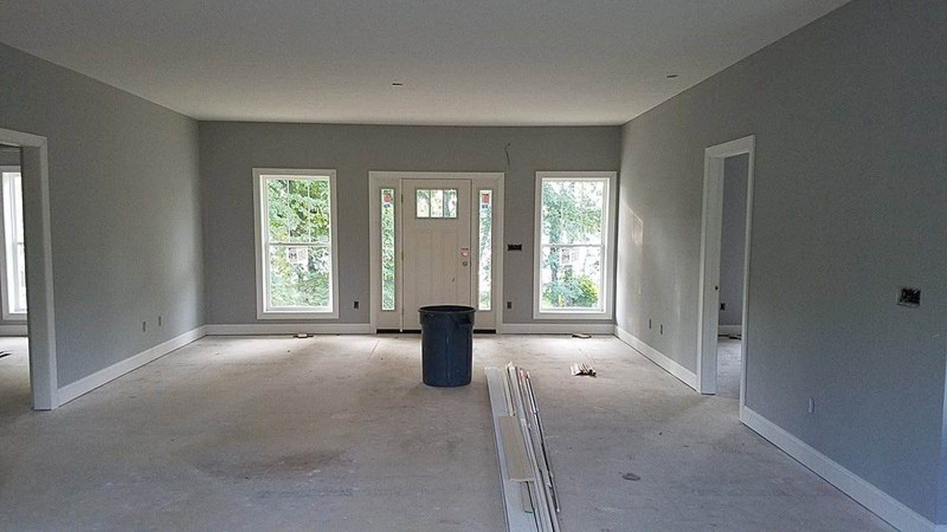 White paneled door with chrome handle beside a black trash can on light wood flooring, white plaster walls, and window in a residential interior.